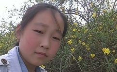 张丽全方位被虐